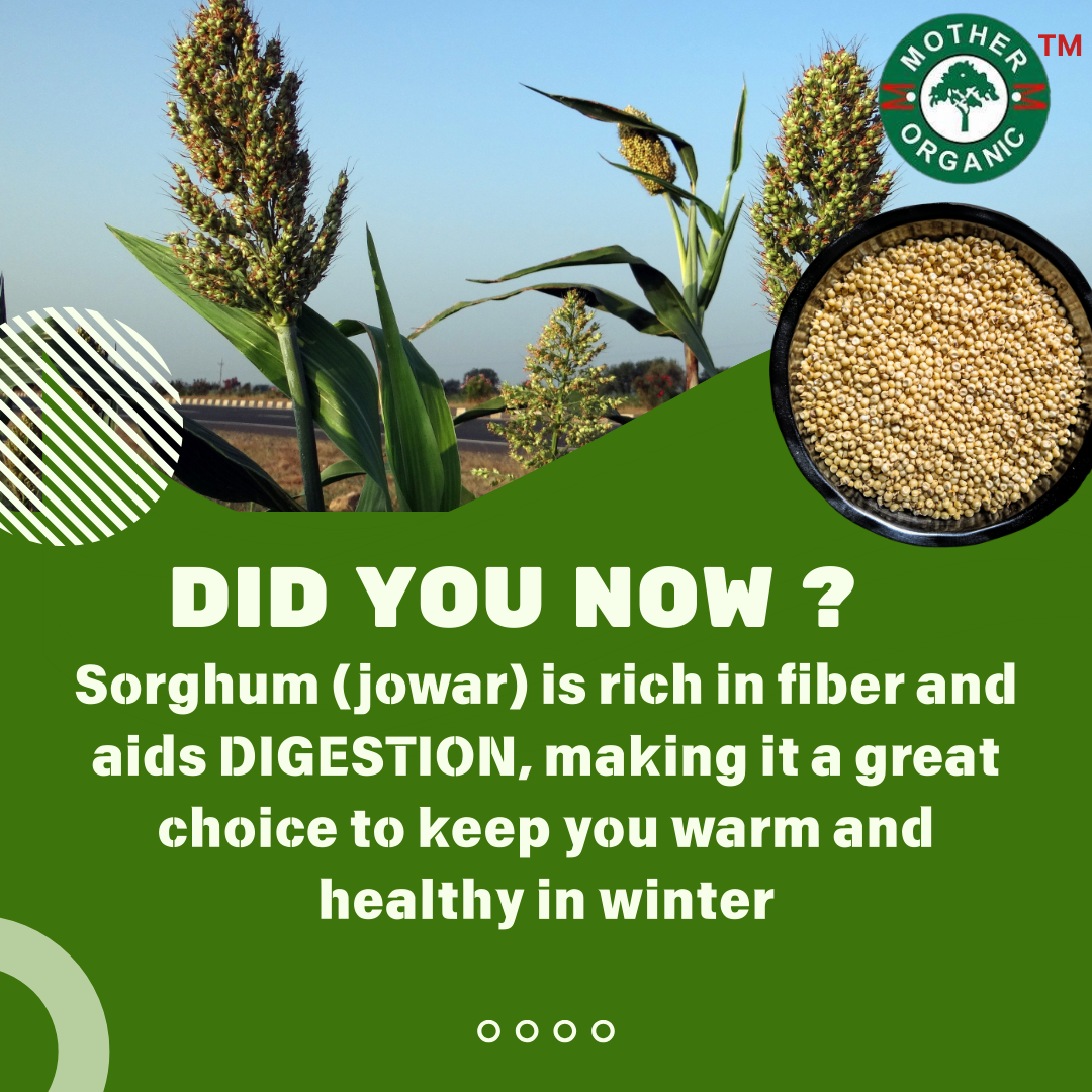 Jowar Flour Sorghum